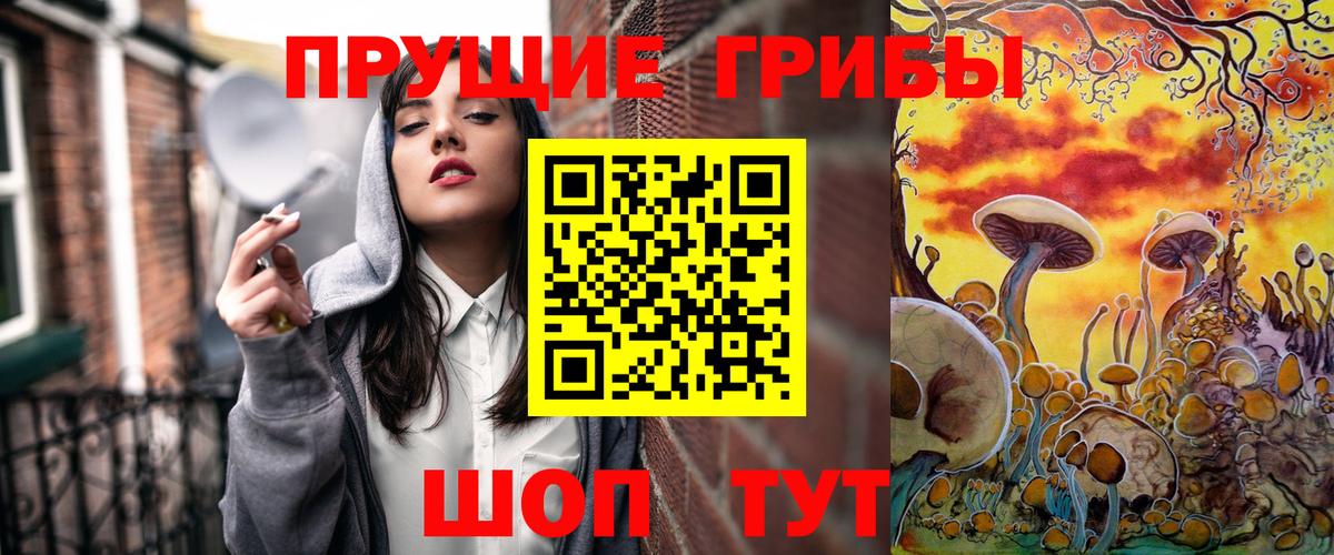 Биробиджан  Псилоцибиновые грибы MAGIC MUSHROOMS  Псилоцибиновые грибы мицелий  Вход с VPN 